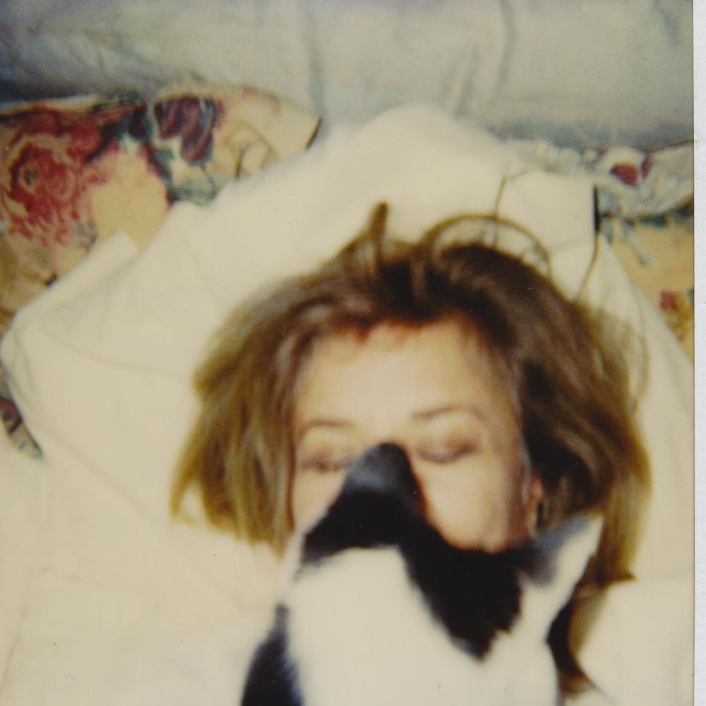 Meet your Posher, Jeanne